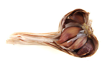 Image showing garlic head isolated