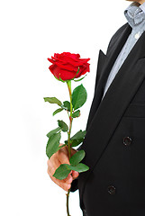 Image showing Man red rose