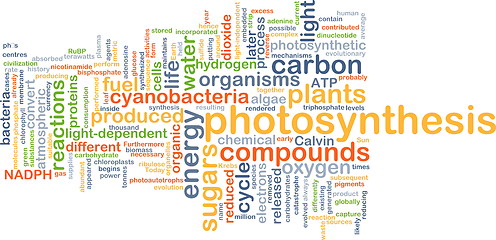 Image showing Photosynthesis background concept