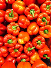 Image showing Red Peppers