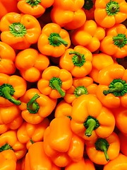 Image showing Orange Peppers