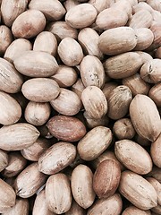 Image showing Nuts, Pecan