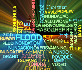 Image showing Flood multilanguage wordcloud background concept glowing