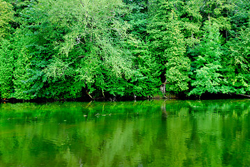 Image showing Green reflections