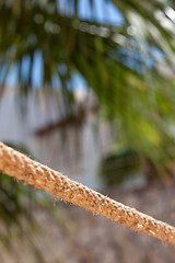 Image showing the rope fence of pier in summer vacation time 