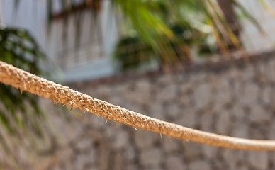 Image showing the rope fence of pier in summer vacation time 