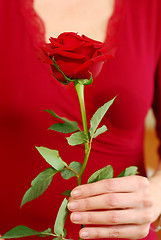 Image showing Woman rose