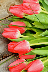 Image showing Spring Tulips