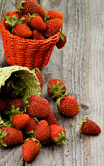 Image showing Forest Strawberries