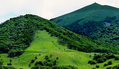 Image showing Green Hills