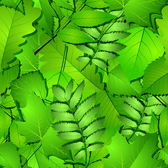 Image showing Seamless with green spring leaves.