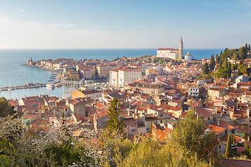 Image showing Picturesque old town Piran, Slovenia.