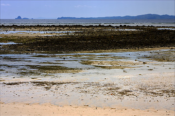 Image showing  isle and rock in madagascar