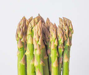 Image showing Asparagus vegetable