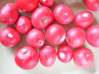 Image showing Radish vegetable 