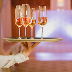 Image showing Waiter serving champagne on a tray