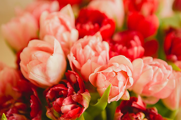 Image showing bouquet of tulips on white background for advertising