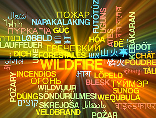 Image showing Wildfire multilanguage wordcloud background concept glowing