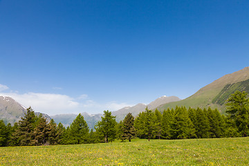 Image showing Italian Alps