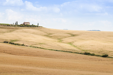 Image showing Countryside in Tuscany