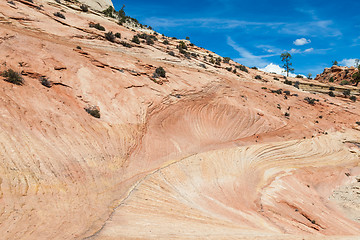 Image showing Zion National Park