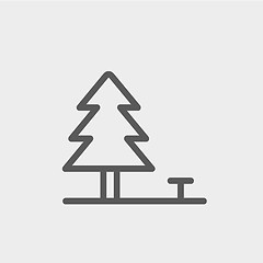 Image showing Pine tree thin line icon