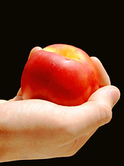Image showing Hand and peach
