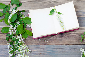 Image showing Blossoming bird-cherry and vintage open book