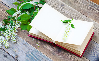 Image showing Blossoming bird-cherry and vintage open album