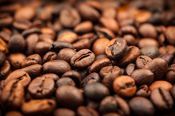 Image showing Roasted coffee beans as background