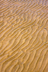 Image showing shore texture and curved line in rio de la plata