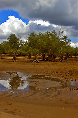 Image showing  cloudy  sand isle beach