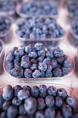 Image showing Blueberries