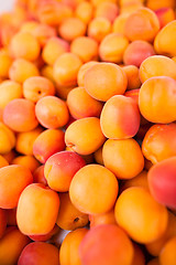 Image showing Apricots