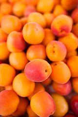 Image showing Apricots