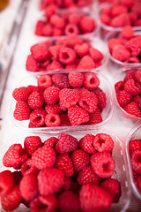 Image showing Raspberries