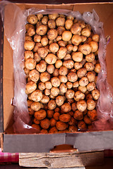 Image showing Potatoes