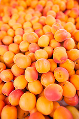 Image showing Apricots