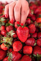 Image showing Fresh strawberries