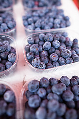 Image showing Blueberries