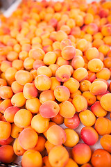 Image showing Apricots