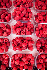 Image showing Raspberries