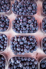 Image showing Blueberries