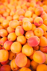 Image showing Apricots