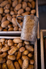 Image showing Potatoes