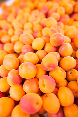 Image showing Apricots