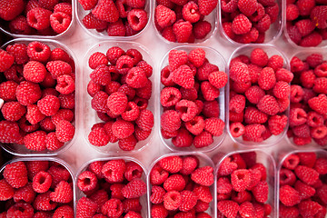 Image showing Raspberries