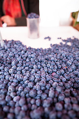 Image showing Blueberries