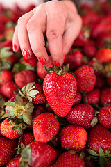 Image showing Fresh strawberries