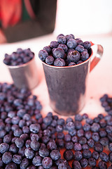 Image showing Blueberries